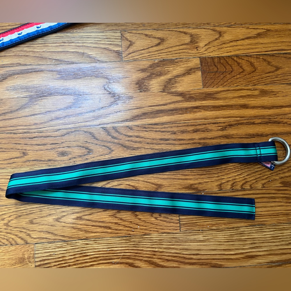 Vineyard Vine Stripe Ribbon D-Ring Belt